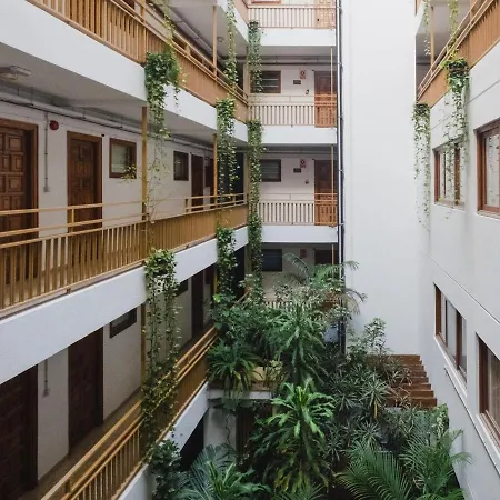 Lejlighed Estudio Puerto De La Cruz, 1 Dormitorio, 2 Personas - Es-284-9 Puerto de la Cruz (Tenerife)